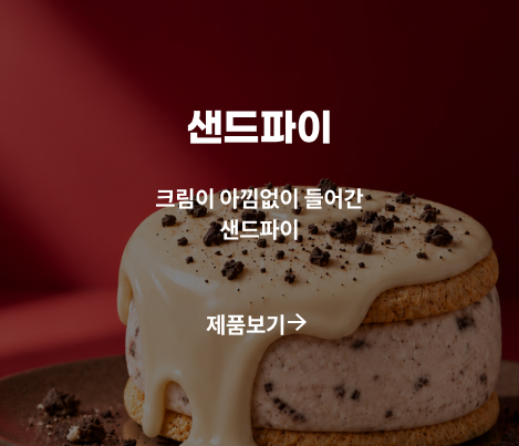 샌드파이 제품